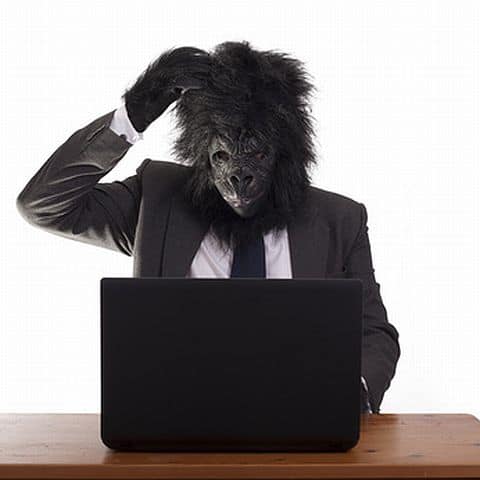 Gorilla on the computer