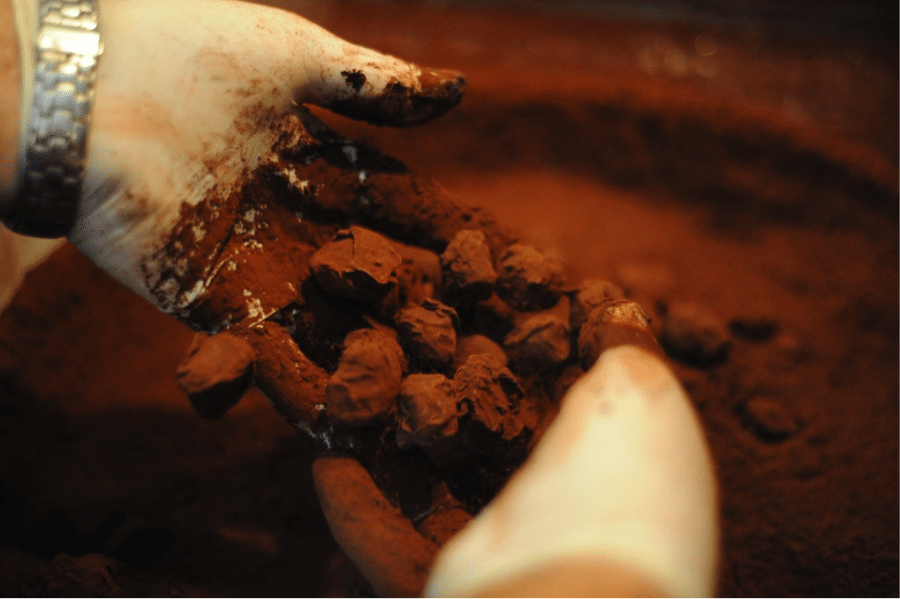 truffle