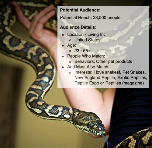 psychographic-targeting-facebook-exotic-pet-owners