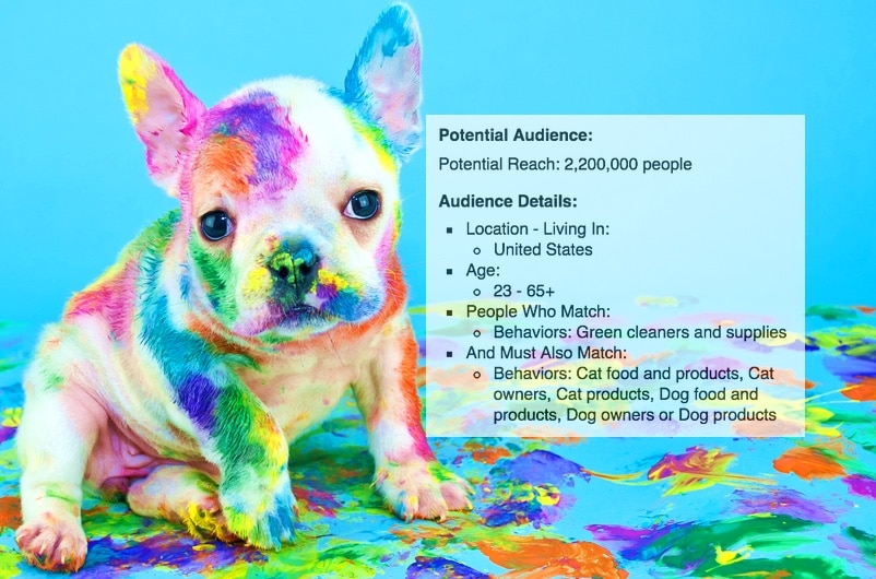 psychographic-targeting-facebook-pet-owners-green-cleaners