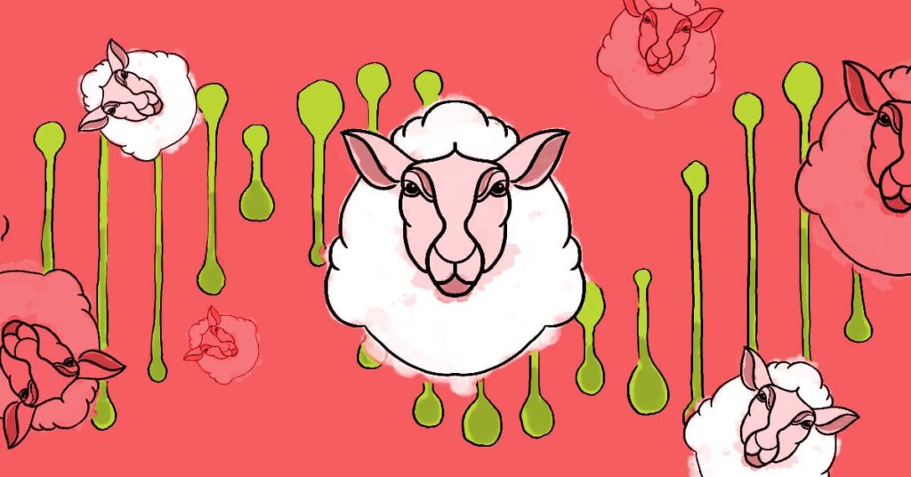 Lambs floating on top of a pink background