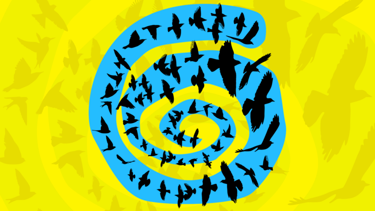 A flock of black bird silhouettes follow a blue spiral against a bright yellow background to introduce our post, Influencer Marketing: Expand Your Flock With Social Media Targeting & Tactics