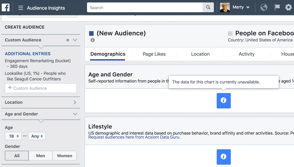 Facebook custom audiences: Age and Gender Unavailable