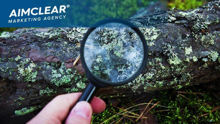 Magnifying the moss on a fallen tree to see great detail, kicks off the post, Content Marketing (Part II): Science of the Birds and the Trees
