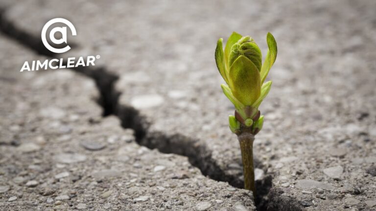 A green sprout comes up through the pavement to introduce our blog post, Four ways to use non viral content.