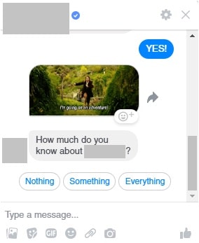 Screen cap of a Facebook Messenger chatbot interaction based on user response