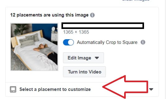 Screen cap of option to customize an image by placement in Facebook and Instagram ads