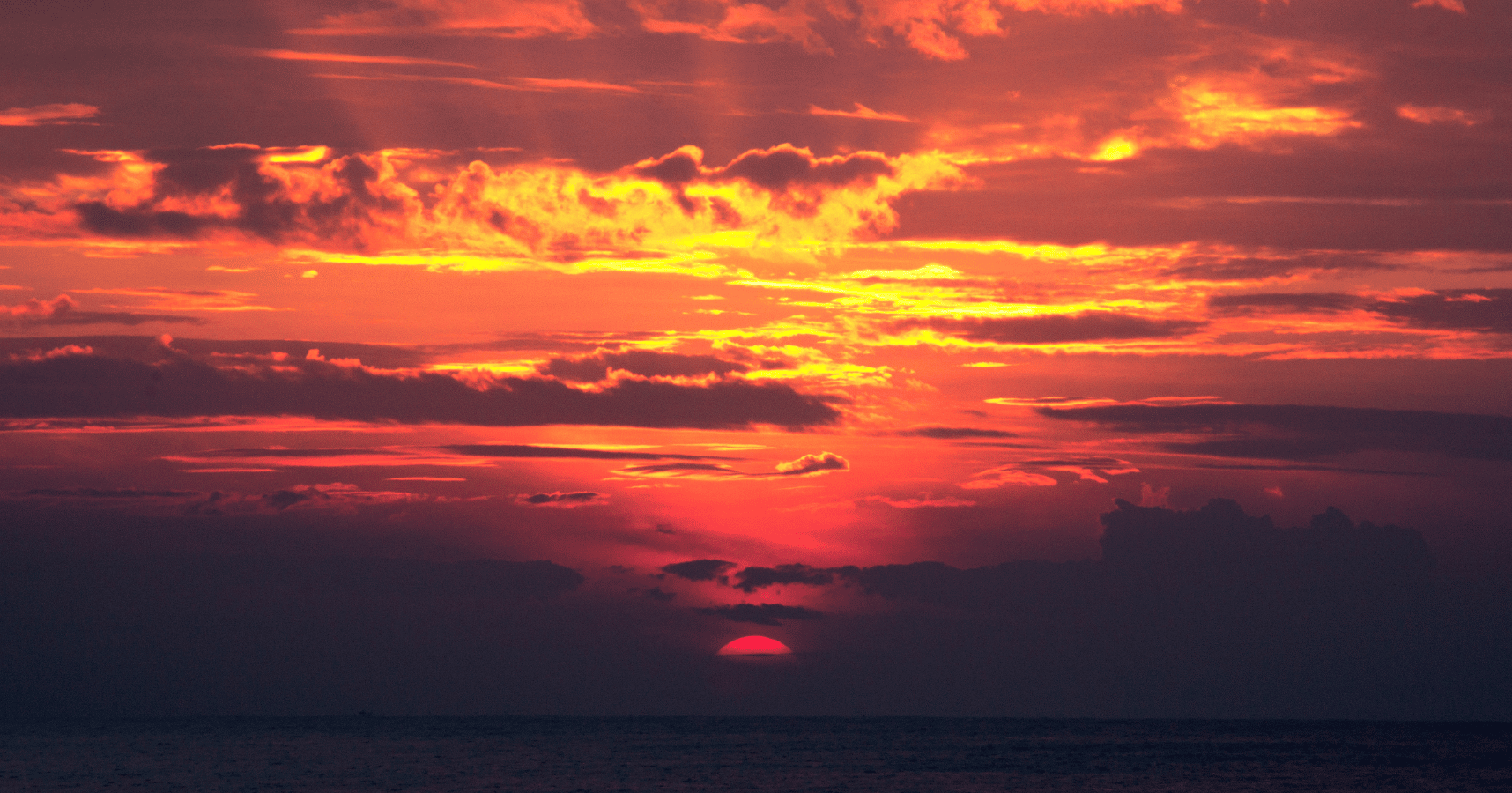 Image of a sunset turning the sky bright pink and orange, in reference to the sunsetting of Universal Analytics.